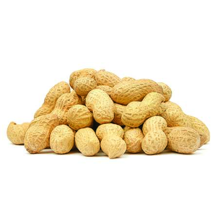 AZAR Azar Roasted Salted Peanut In The Shell 25lbs 7202852